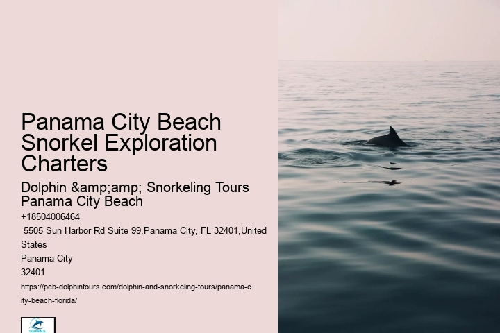 Snorkeling Charters Departing From Panama City Beach