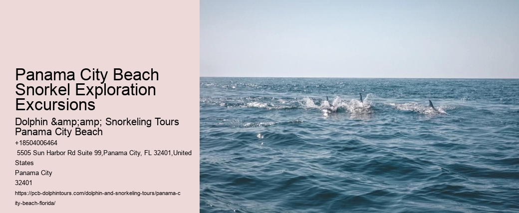 Panama City Beach Snorkel Boat Excursions