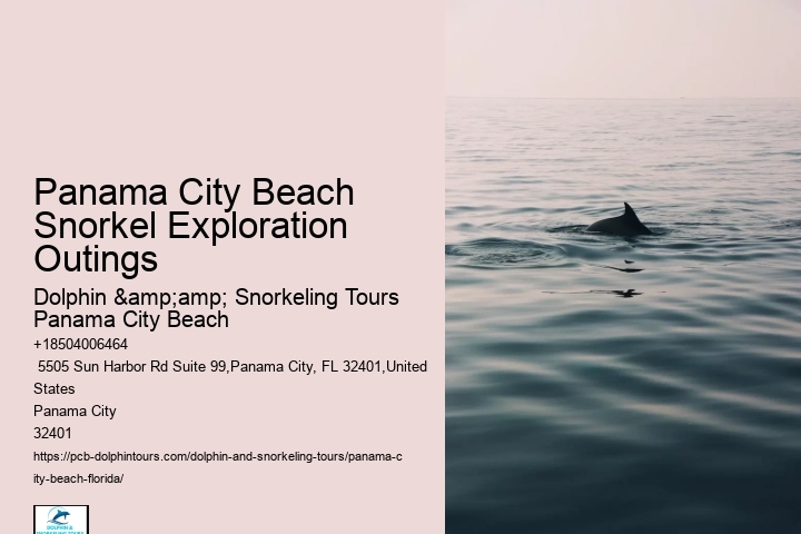 Panama City Beach Snorkeling Tours 320
