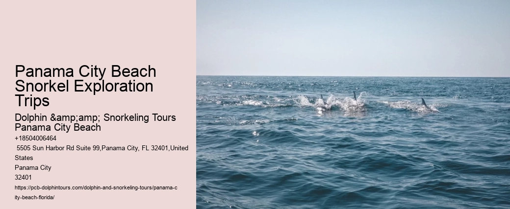Panama City Beach Snorkeling Tours Utility