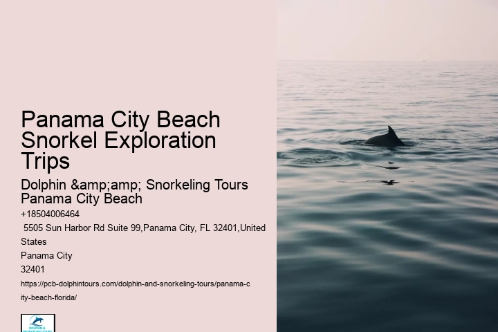 Panama City Beach Snorkel Safaris