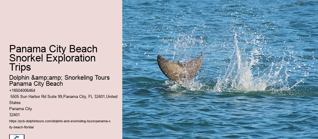 Snorkeling Adventures Departing From Panama City Beach