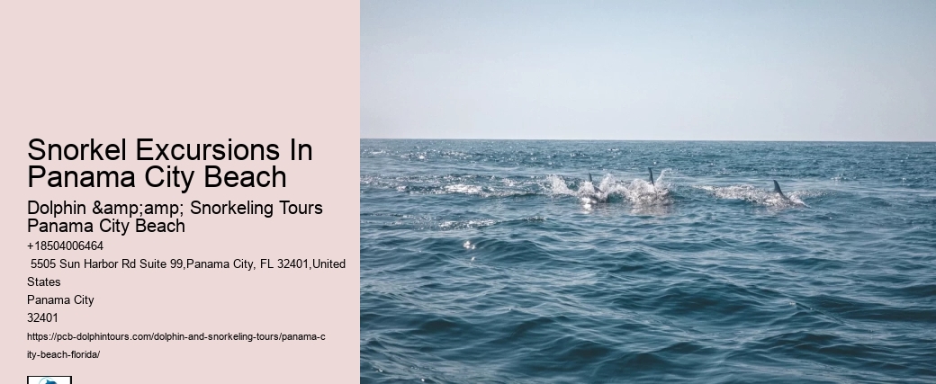 Panama City Beach Snorkeling Tours Eco