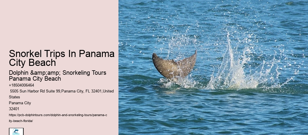 Panama City Beach Snorkel Exploration Trips