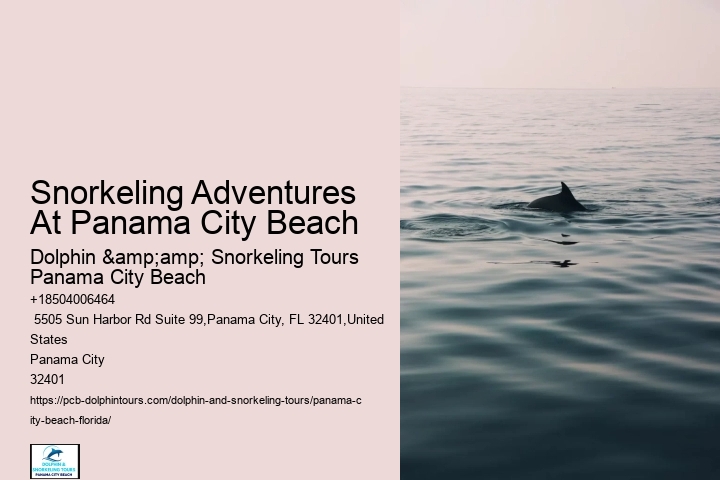 Snorkeling Adventures Around Panama City Beach