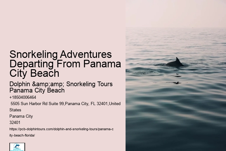 Snorkeling Experiences At Panama City Beach