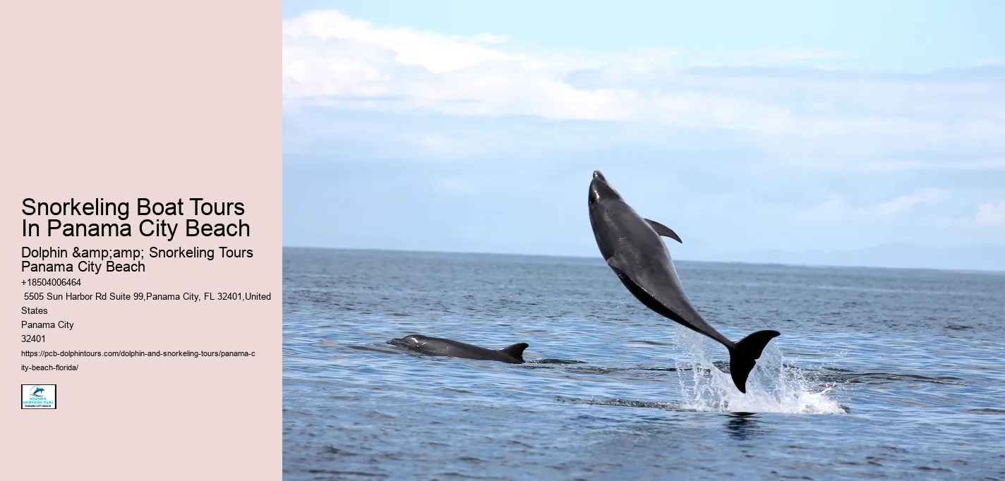 Snorkeling Boat Tours In Panama City Beach