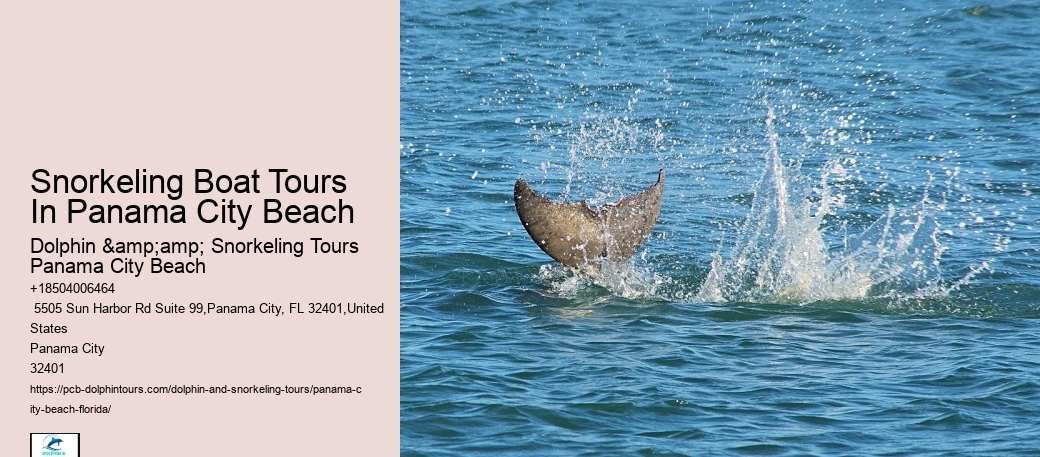 Are There Age Restrictions For Participating In Snorkeling Tours In Panama City Beach