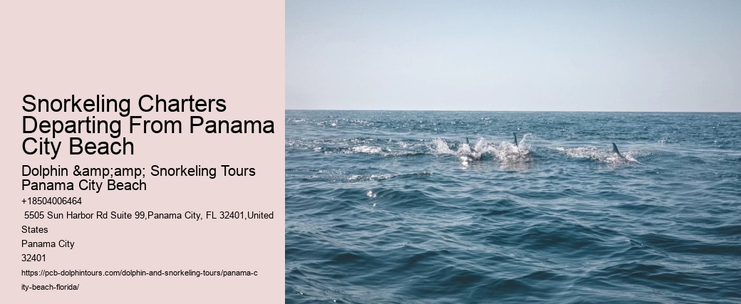 Panama City Beach Snorkeling Tours West Maui