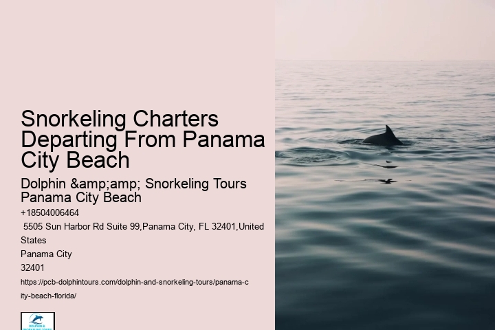 Panama City Beach Snorkeling Tours Andrews