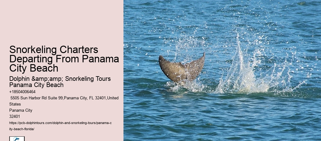 Panama City Beach Snorkel Discovery Tours