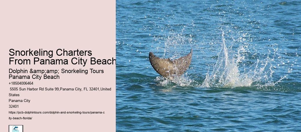 Panama City Beach Snorkeling Tours Dana Point
