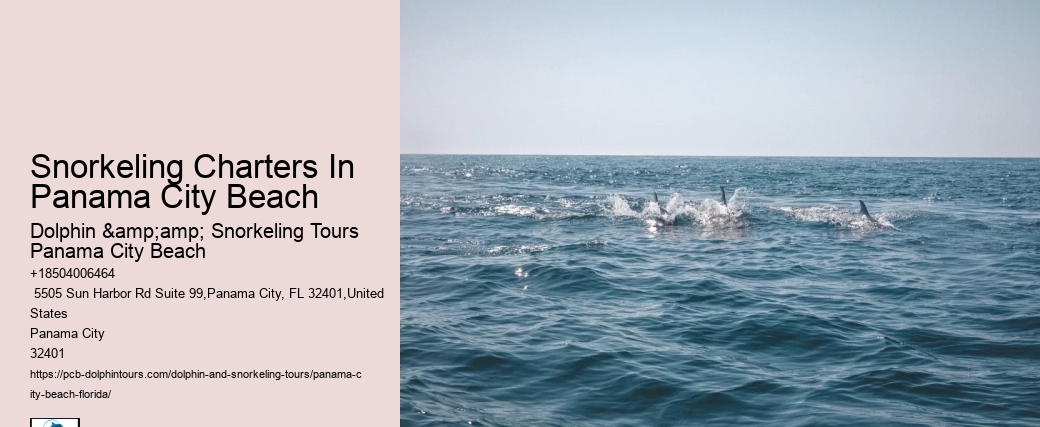 Panama City Beach Snorkeling Tours 022