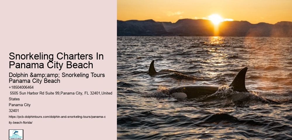 Panama City Beach Snorkeling Tours 30th