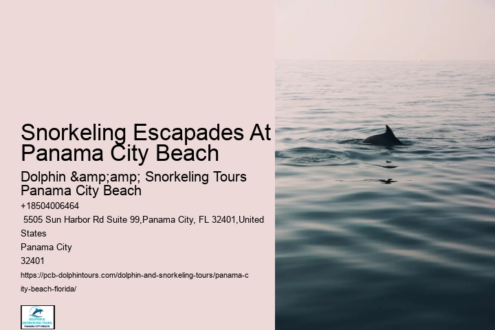 Panama City Beach Snorkel Cruises