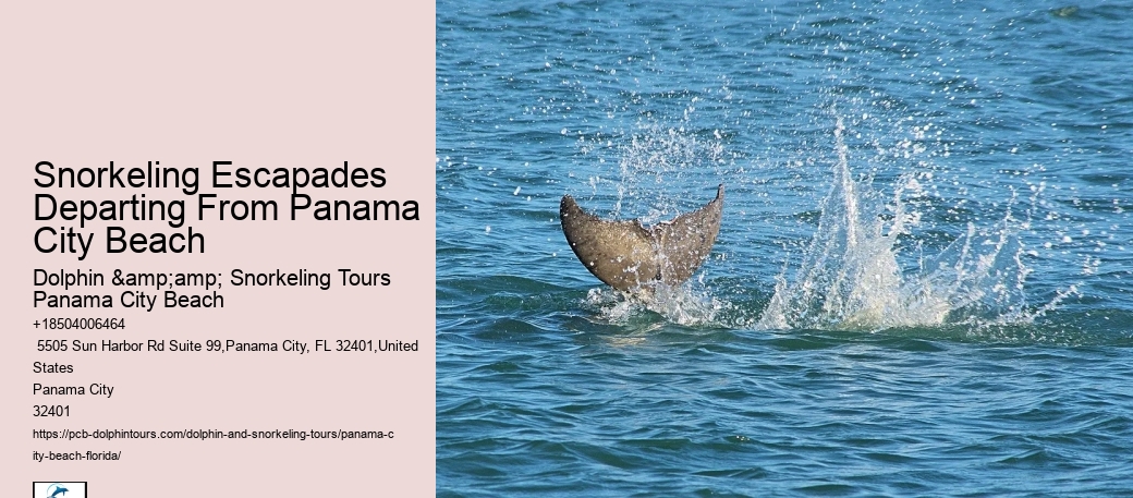 Panama City Beach Snorkeling Tours John Pennekamp