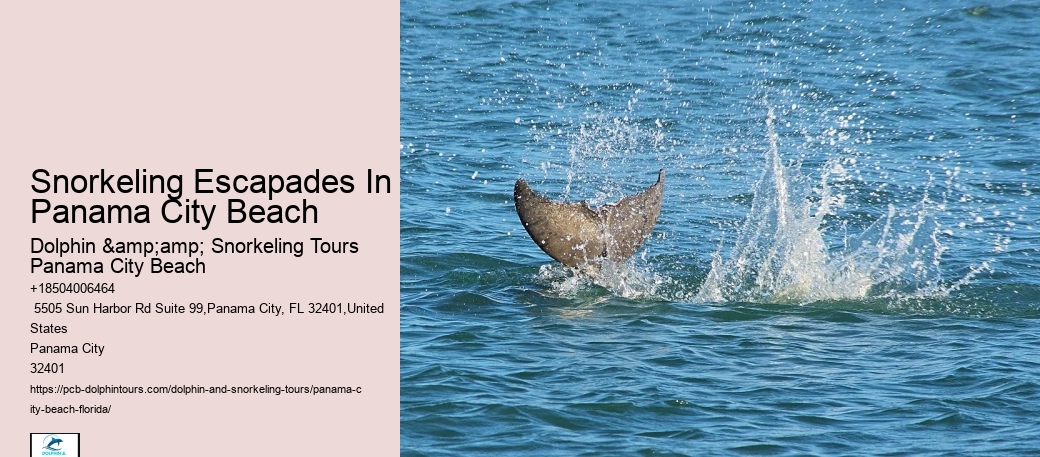 Dolphin & Snorkeling Tours Panama City Beach Beach