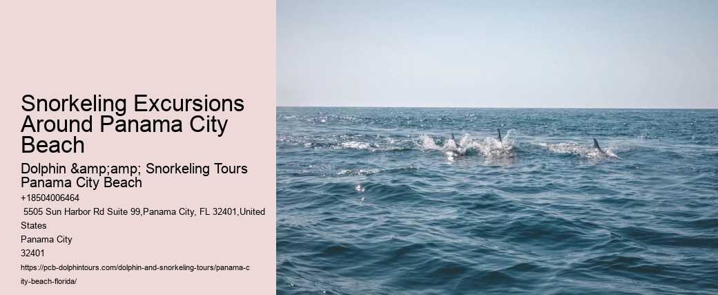 Panama City Beach Snorkel Sightseeing Tours