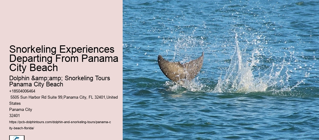 Panama City Beach Snorkeling Tours Rental