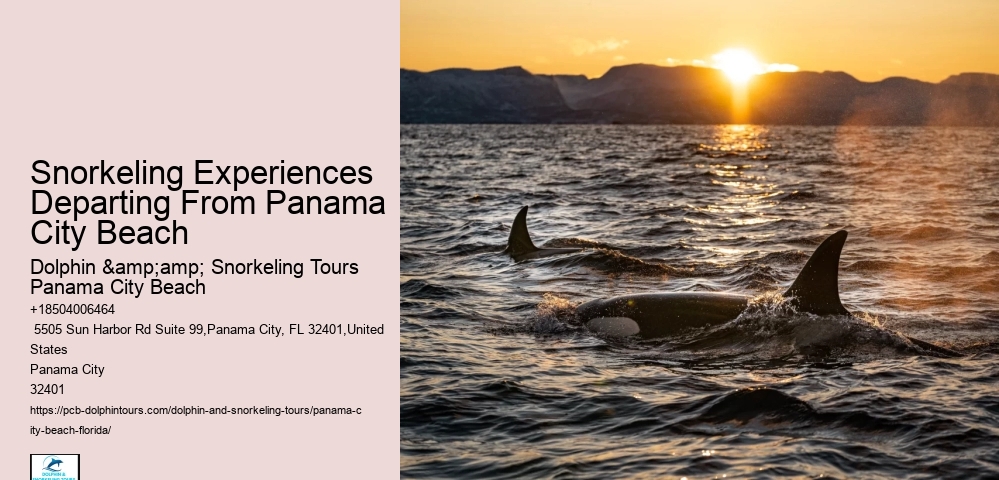 Panama City Beach Snorkeling Tours Museum