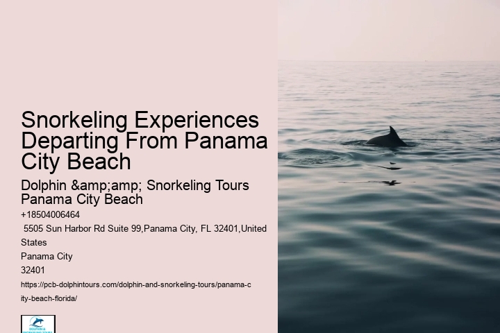 Dolphin And Snorkel Tours Panama City Beach