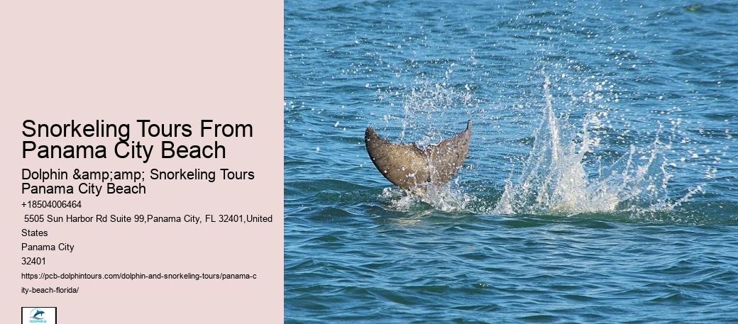 Panama City Beach Snorkeling Tours Agency