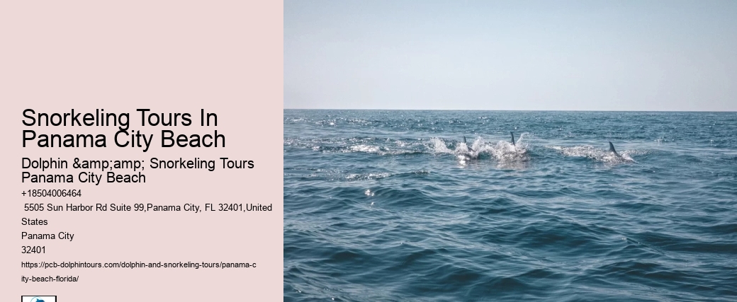 Panama City Beach Snorkeling Tours Highlands