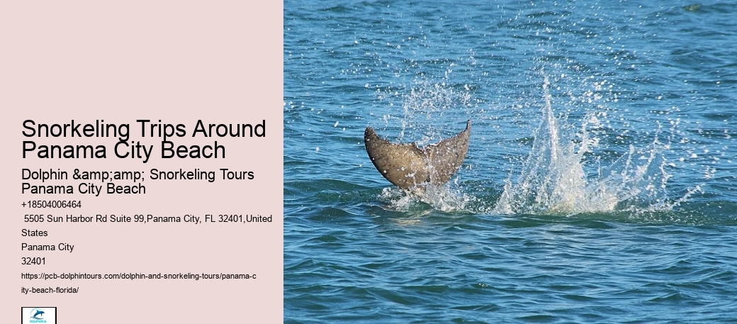 Panama City Beach Snorkeling Tours Tripadvisor