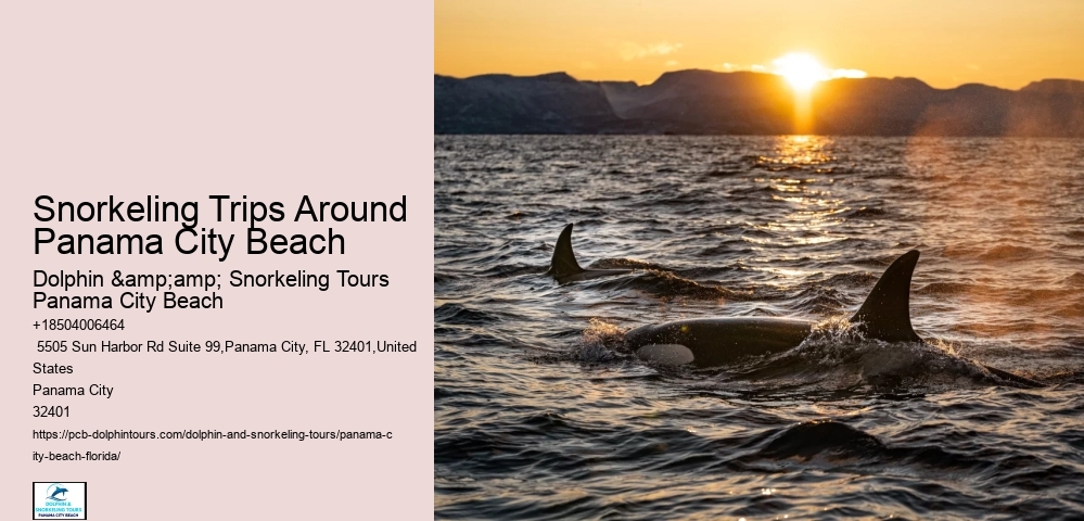 Panama City Beach Snorkeling Tours Park City