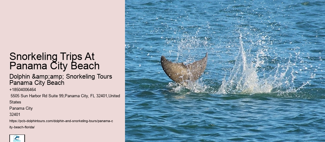 Panama City Beach Snorkeling Tours Panama City Beach Beach