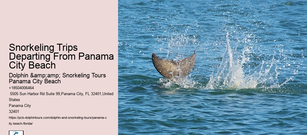 Panama City Beach Snorkeling Tours Publishing