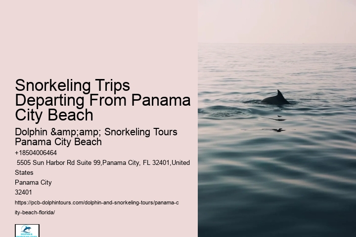 Panama City Beach Beach Snorkel Trip Aboard The Footloose Catamaran