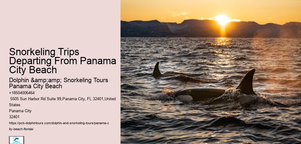 Panama City Beach Snorkeling Tours Delaware