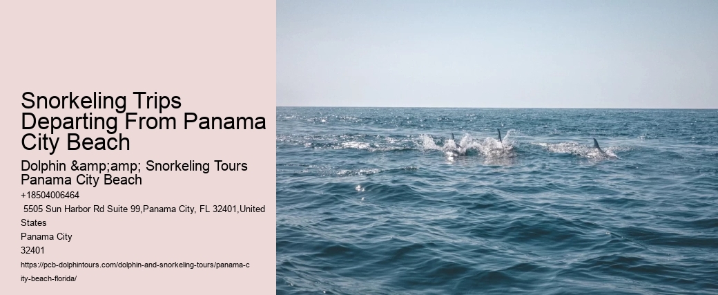 Snorkeling Charters Departing From Panama City Beach